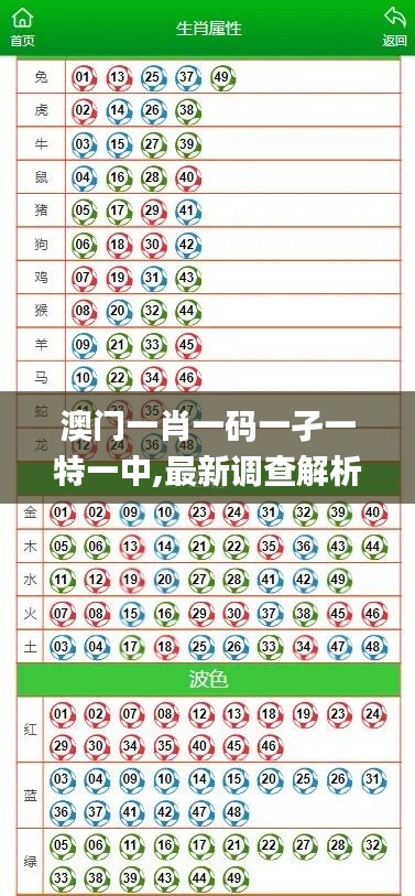 澳门一肖一码一孑一特一中,最新调查解析说明_静态版11.134