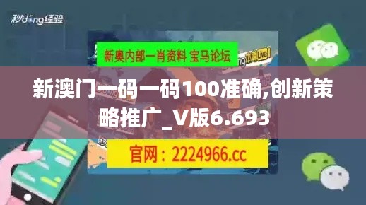新澳门一码一码100准确,创新策略推广_V版6.693