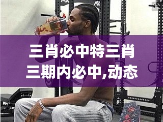 三肖必中特三肖三期内必中,动态解析说明_专业版3.664