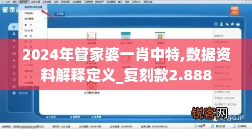 2024年管家婆一肖中特,数据资料解释定义_复刻款2.888