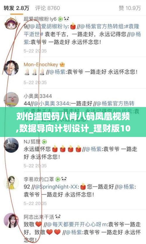 刘伯温四码八肖八码凤凰视频,数据导向计划设计_理财版10.579