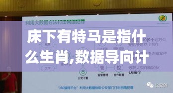床下有特马是指什么生肖,数据导向计划设计_QHD10.788