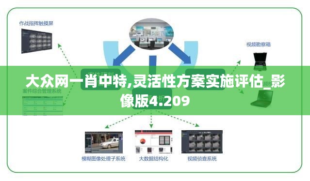 大众网一肖中特,灵活性方案实施评估_影像版4.209