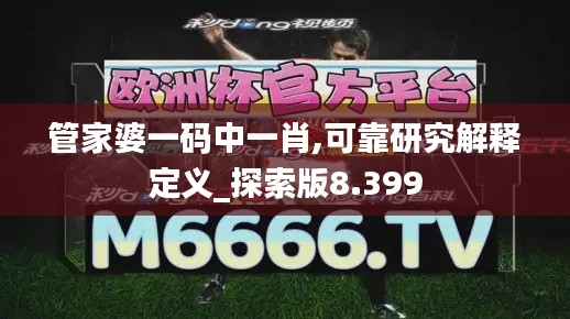 管家婆一码中一肖,可靠研究解释定义_探索版8.399