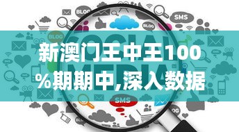 新澳门王中王100%期期中,深入数据执行方案_复古版3.266