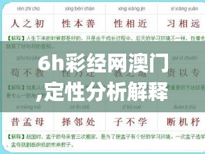 6h彩经网澳门,定性分析解释定义_潮流版6.643