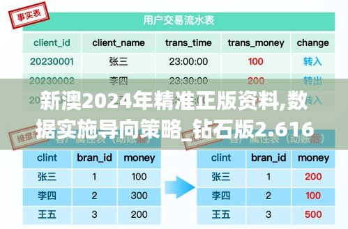 新澳2024年精准正版资料,数据实施导向策略_钻石版2.616