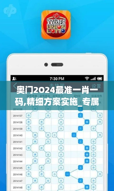 奥门2O24最准一肖一码,精细方案实施_专属款7.658