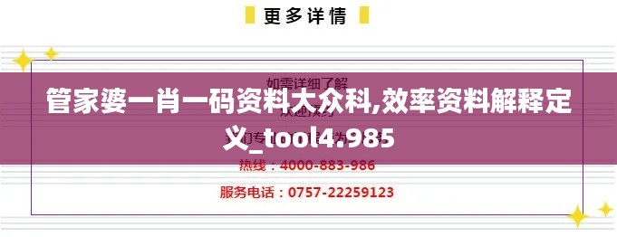 管家婆一肖一码资料大众科,效率资料解释定义_tool4.985