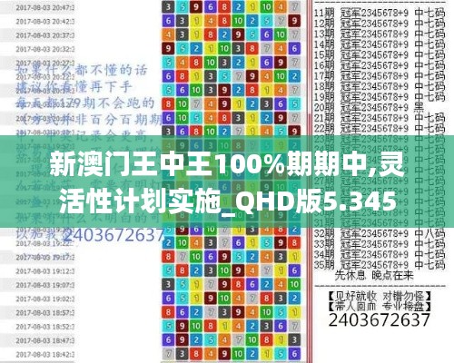 新澳门王中王100%期期中,灵活性计划实施_QHD版5.345