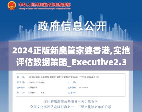 2024正版新奥管家婆香港,实地评估数据策略_Executive2.335