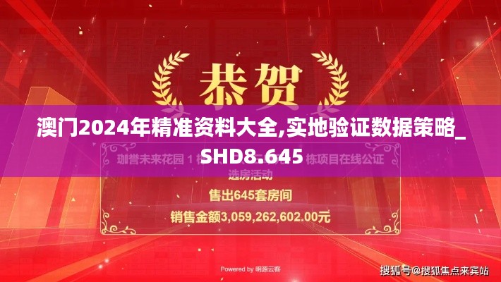 澳门2024年精准资料大全,实地验证数据策略_SHD8.645