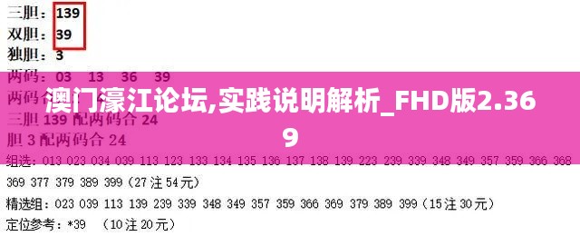 澳门濠江论坛,实践说明解析_FHD版2.369