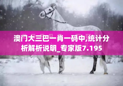 澳门大三巴一肖一码中,统计分析解析说明_专家版7.195