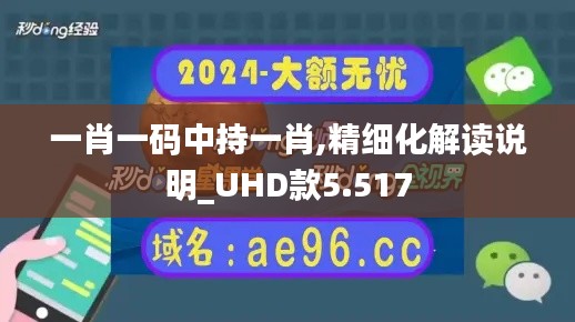 一肖一码中持一肖,精细化解读说明_UHD款5.517