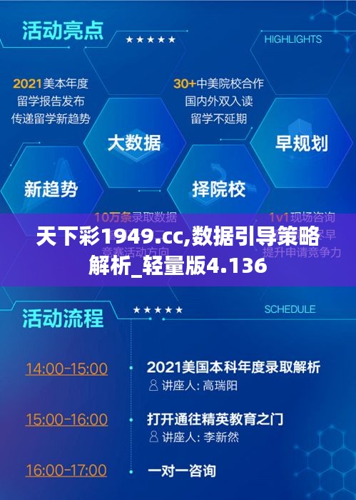 天下彩1949.cc,数据引导策略解析_轻量版4.136
