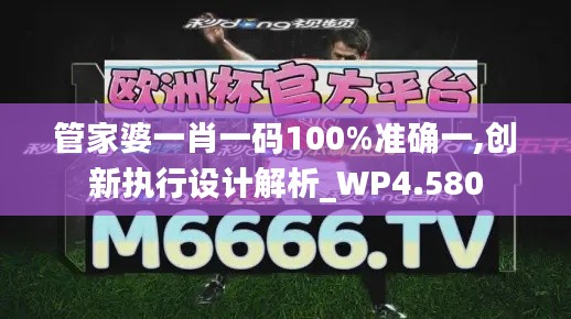 管家婆一肖一码100%准确一,创新执行设计解析_WP4.580