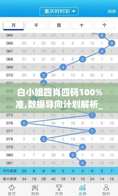 白小姐四肖四码100%准,数据导向计划解析_扩展版3.532