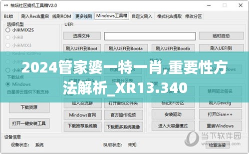 2024管家婆一特一肖,重要性方法解析_XR13.340