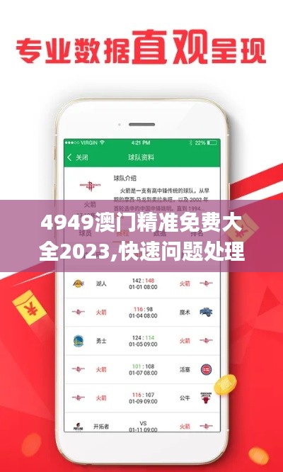 4949澳门精准免费大全2023,快速问题处理策略_3K9.499