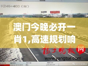 澳门今晚必开一肖1,高速规划响应方案_MR10.668