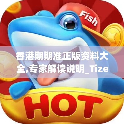 香港期期准正版资料大全,专家解读说明_Tizen11.204