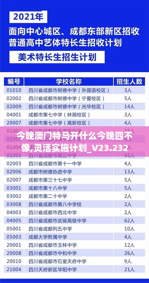 今晚澳门特马开什么今晚四不像,灵活实施计划_V23.232