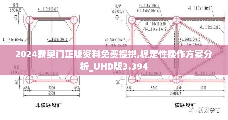 2024新奥门正版资料免费提拱,稳定性操作方案分析_UHD版3.394