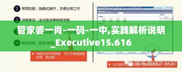 管家婆一肖-一码-一中,实践解析说明_Executive15.616