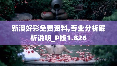 新澳好彩免费资料,专业分析解析说明_P版1.826