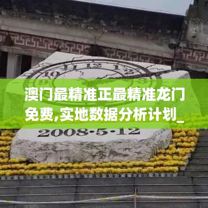 澳门最精准正最精准龙门免费,实地数据分析计划_交互版17.264