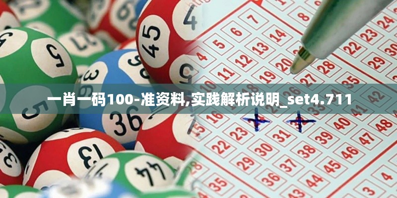 一肖一码100-准资料,实践解析说明_set4.711