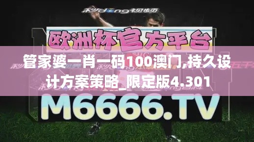 管家婆一肖一码100澳门,持久设计方案策略_限定版4.301
