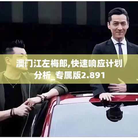 澳门江左梅郎,快速响应计划分析_专属版2.891
