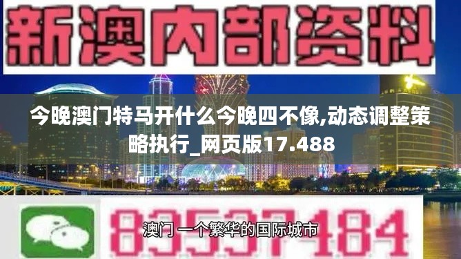 今晚澳门特马开什么今晚四不像,动态调整策略执行_网页版17.488