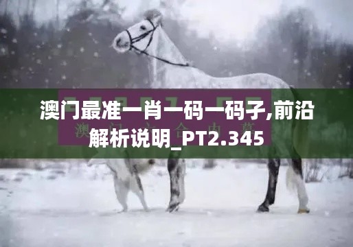 澳门最准一肖一码一码孑,前沿解析说明_PT2.345
