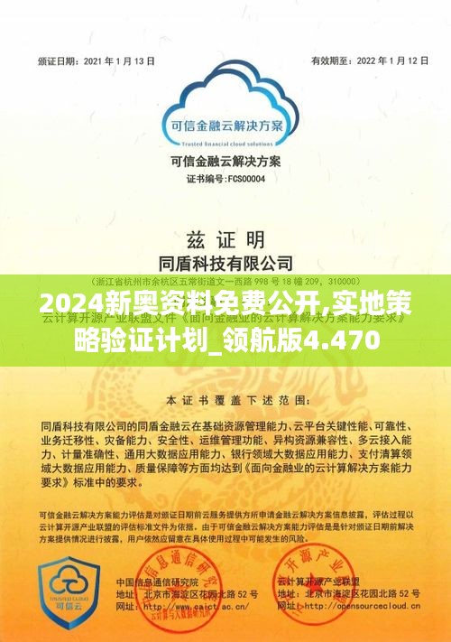 2024新奥资料免费公开,实地策略验证计划_领航版4.470