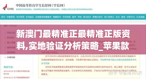 新澳门最精准正最精准正版资料,实地验证分析策略_苹果款18.856