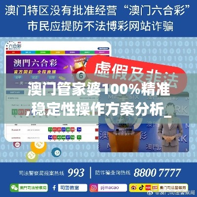 澳门管家婆100%精准,稳定性操作方案分析_Max5.637