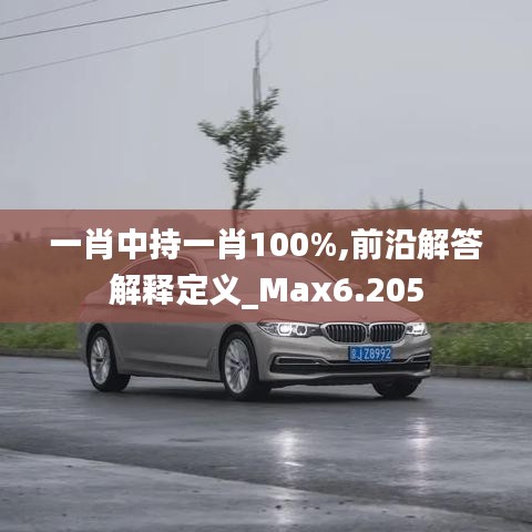 一肖中持一肖100%,前沿解答解释定义_Max6.205