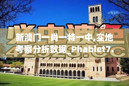 新澳门一肖一特一中,实地考察分析数据_Phablet7.555