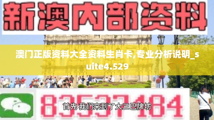 澳门正版资料大全资料生肖卡,专业分析说明_suite4.529