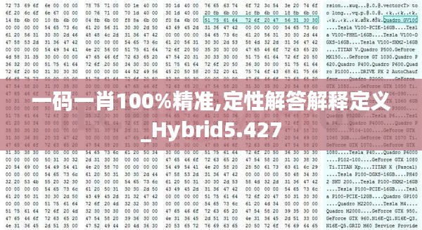 一码一肖100%精准,定性解答解释定义_Hybrid5.427