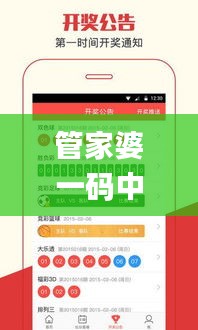 管家婆一码中一肖100中奖,实地设计评估解析_6DM8.831