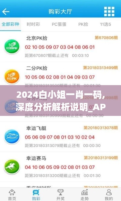 2024白小姐一肖一码,深度分析解析说明_AP3.791