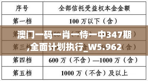 澳门一码一肖一恃一中347期,全面计划执行_W5.962