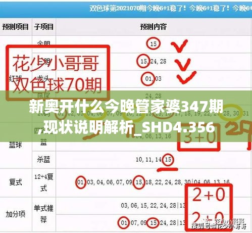 新奥开什么今晚管家婆347期,现状说明解析_SHD4.356