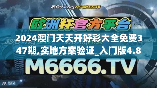 2024澳门天天开好彩大全免费347期,实地方案验证_入门版4.854