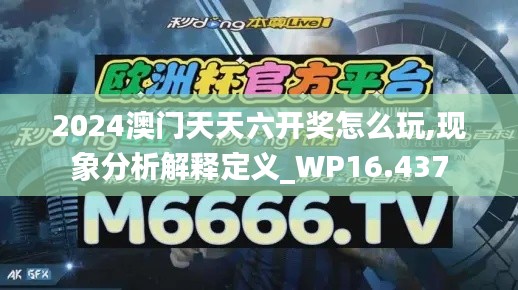 2024澳门天天六开奖怎么玩,现象分析解释定义_WP16.437