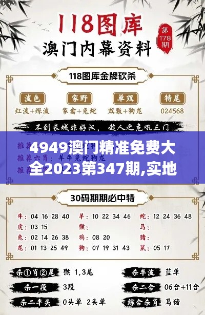 4949澳门精准免费大全2023第347期,实地说明解析_T10.593